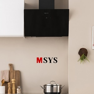 엠시스(MSYS) HDC-MSNB600